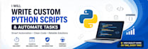write custom python scripts and automate tasks