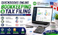 do bookkeeping, cleanup, xero and wave expert