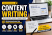 write professional SEO content for your website