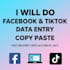 copy paste facebook tiktok data to excel sheet