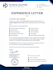 professional experience letter template
