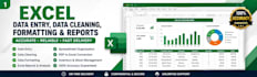 be your professional excel expert for data entry data cleaning reporting