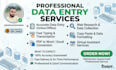 do professional data entry, typing and copy paste work