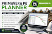 create a professional primavera p6 project schedule