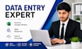 be your professional data entry expert and web researcher