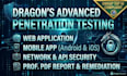 do network, mobile app , and web penetration testing