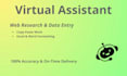 do expert web research and data entry