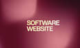 do business software development