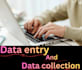 do accurate data entry, copy paste,word and excel data entry