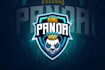 create a professional panda logo with source files