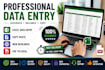 web research, data collection and internet research