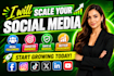 scale your social media