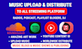 distribute music to all streaming platforms and fix rejecting issues with dps