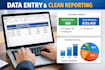revenue recognition and data analysis expert