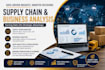 provide professional supply chain and business analysis solutions