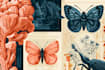 draw a scientific illustration