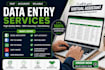 do data entry , copy paste , typing and web research