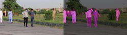 build a custom object detection segmentation and tracking model