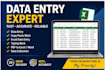 do data entry, copy paste, typing, data cleaning, excel and web research work