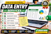 do accurate data entry, microsoft excel, web research and copy paste