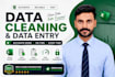 clean, organize, and format your excel or CSV data