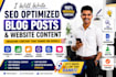 write professional SEO blog articles