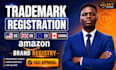do trademark registration, trademark search and llc company setup