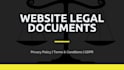write professional terms and conditions and privacy policy for website