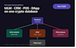 create crypto database system, mlm website, crm, pos software with dapp