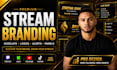 professional obs stream setup