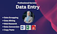 do fastest data entry, copy past and web research job