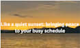 be your professional virtual assistant and calendar manager