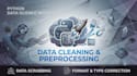 data cleaning and preprocessing in python