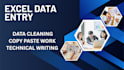 do professional excel data entry, data cleaning and technical writing