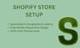 design shopify store and set up  shopify dropshipping website