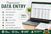 do accurate data entry, excel data entry, web research and copy paste