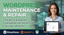 fix wordpress errors, optimize database, and provide monthly maintenance