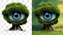 do professional background removal