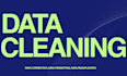 clean and prepare your dataset using python