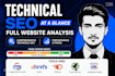 do on page and technical SEO,website audit,wordpress develpor