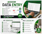 do accurate data entry, excel , copy paste and typing