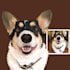 drawing pet potrait for you