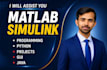 do your matlab programming, simulink and gui projects