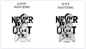 professional embroidery digitizing jackets and tshirts hatch 4