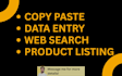 do a web search