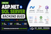 develop backend features and fix bugs asp net sql server java rest api