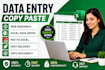 do accurate data entry, copy paste, web research and excle data entry