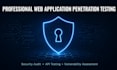 do professional web application penetration testing and security audit