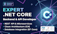 consult and develop your net core backend application