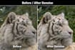 denoise and enhance your photography